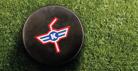Matchpuck-Versteigerung Saison 2024/25