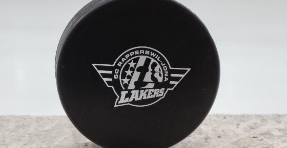 Matchpuck Versteigerung Saison 2024/25