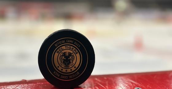 Versteigerung des Matchpucks – Playoffs 2024/25