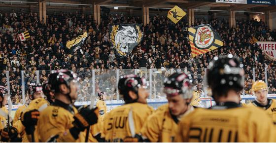 Vente aux enchères -  maillots jaunes officiels de la saison 24/25