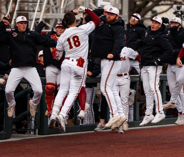Birdball