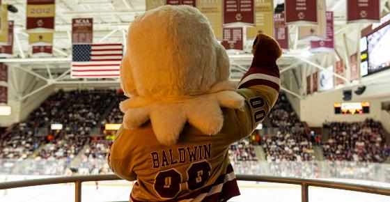 BC Hockey Birthday Experience 