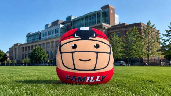 Fighting Illini Football Plushie