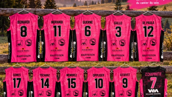 Match Solidaire BIWI-VFM face à Volley Lugano,  dimanche 18 octobre 2026